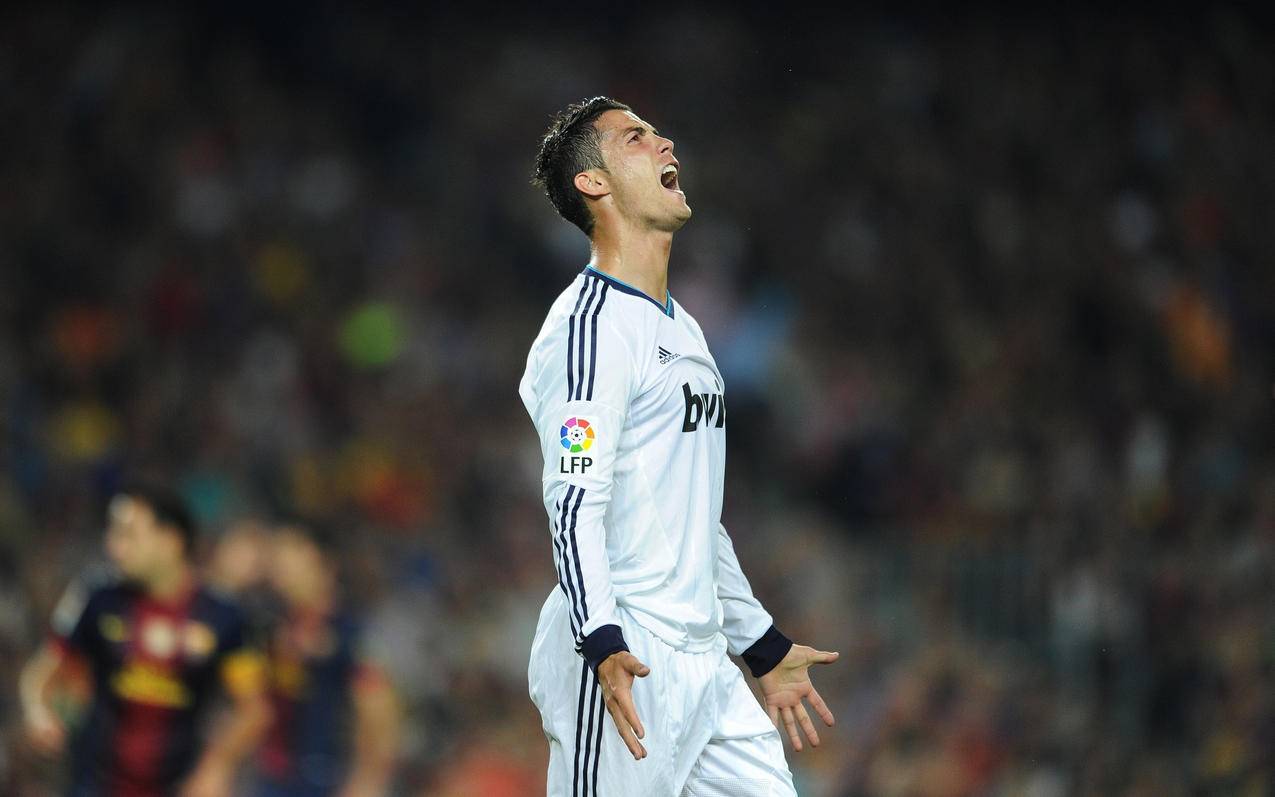 到价格优势 到价格优势