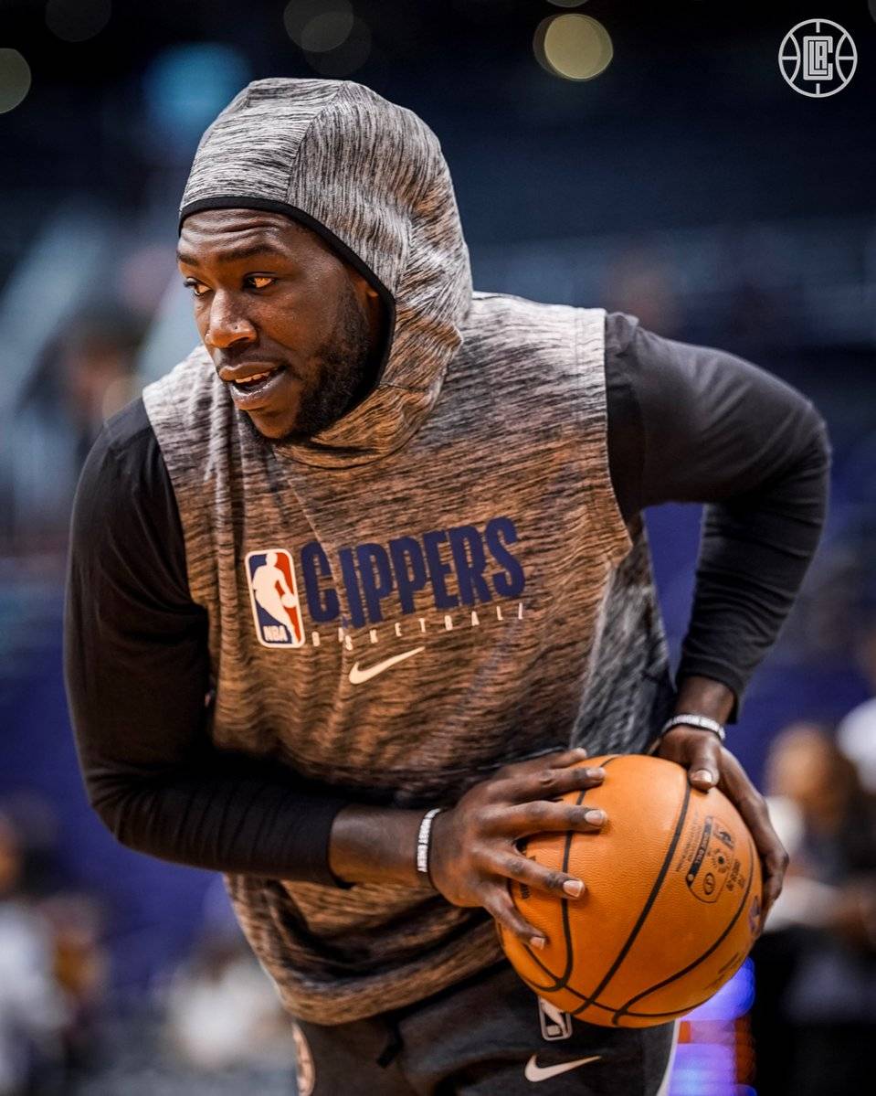 同频进化 同频进化